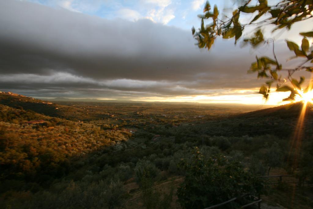 Locanda San Martino A Bocena Cortona Exterior foto